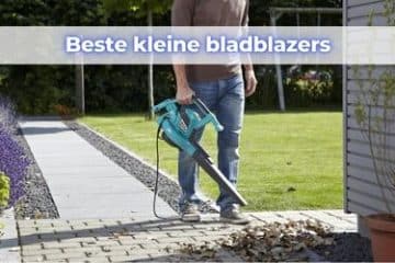 kleine bladblazer